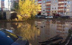 На улице Орджоникидзе появился «пруд» с утками