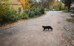 На Солнце зафиксирован мощный всплеск