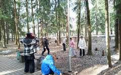 В Кирове запустили горячую линию «Чистый город»