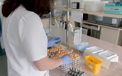Общее число заражённых коронавирусом в Кировской области достигло 3 684 человек