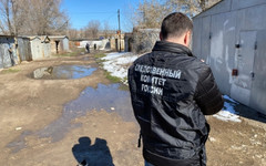 В Оренбурге бродячие собаки загрызли ребёнка