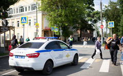 В Кировской области растёт число ДТП с дикими животными