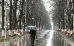 На Кировскую область движется североатлантический циклон, обещающий дожди и сильный ветер