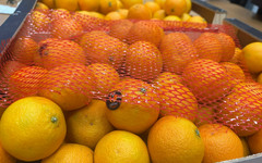 Названа средняя цена мандаринов в РФ