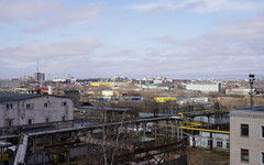 Кировчанам назвали интернет-ресурсы, работающие в период ограничений