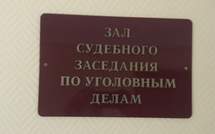 В суд над Марией Плёнкиной, заморившей голодом трёхлетнюю дочь, вызвали свидетелей