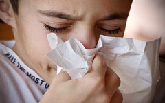 В Кировской области зарегистрирован первый случай «свиного» гриппа в сезоне