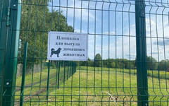 В Пижанке появилась официальная площадка для выгула собак