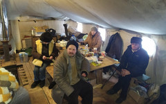 Кировчан просят помочь бездомным