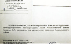 Кировский правозащитник заподозрил в коррупции афанасьевского «князька»