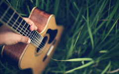 Песни под гитару и атмосфера летних посиделок на лужайке