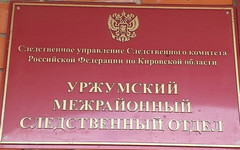 Уржумских подростков наказали за кражу с проникновением в жилище