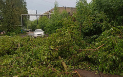 Поваленные деревья, помятые автомобили. Последствия непогоды в Кировской области. Фото