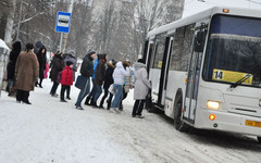 С одним из кировских перевозчиков могут расторгнуть муниципальный контракт