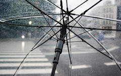 Погода в Кирове. В пятницу утром ожидается сильный дождь