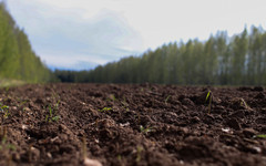 В Лузе и Ленинском построят мусоросортировочные станции