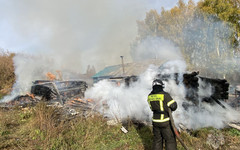 В Малмыжском районе во время пожара мать с семилетним сыном спаслись от огня через окно