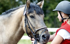 В Кировской области пройдёт один из крупнейших конных фестивалей в России