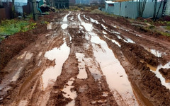 Жители деревни Кобели жалуются на непроходимую дорогу из грязи