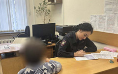 В Кирове раскрыли детали пропажи ребёнка, который пропал вместе с собакой