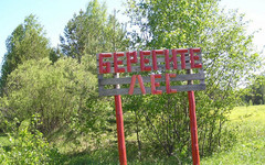 Кировчанам запретили ездить в леса и жечь рядом костры