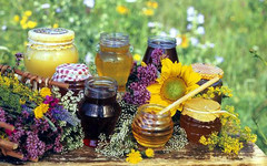 Натуральный мёд: как не нарваться на подделку?