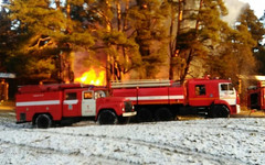 С «Летучего корабля» взыскали 600 тысяч рублей за деревья, сгоревшие вместе с чайным домиком