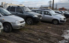 В Кирове за парковку на газонах оштрафовали 24 водителя