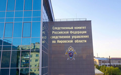В Малмыжском районе женщину подозревают в незаконной вырубке леса