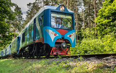 Выехал на красный сигнал: в Кировской области тепловоз столкнулся с легковушкой