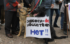 В Кирове пройдёт митинг против живодёров