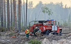 В Кировской области произошел лесной пожар