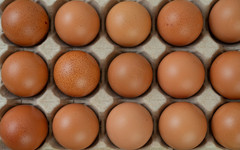 Российские власти утвердили беспошлинный импорт яиц