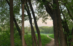 Пенсионерку, пропавшую в Чистых прудах, нашли живой