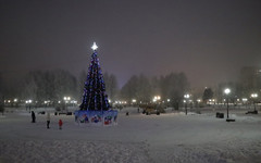 В Кочуровском парке появилась новогодняя ёлка