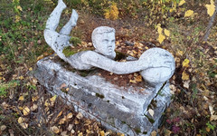 В Кировской области 4 ноября прогнозируют +3