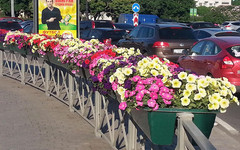 Сотрудники «Т Плюс» высадят цветы в городе к 650-летию Кирова