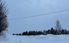 В Кирове ждут мощный снегопад