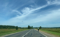 На дорогах Кировской области в октябре произошло 17 ДТП с дикими животными