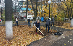 Кировчан приглашают на субботники