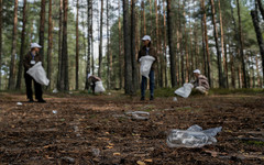 В Кирове пройдет конференция для предпринимателей по экологии и благоустройству территории региона