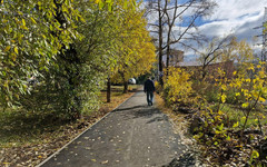 В Кировской области научными исследованиями занимаются 1,3 тысячи человек