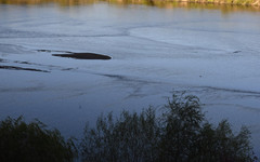 В нескольких водоемах Кировской области пробы воды не соответствуют норме