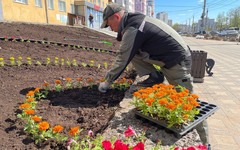 В Кирове на Комсомольской оформляют дымковский цветник