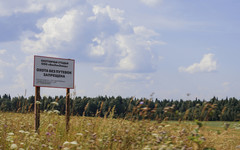 Охотникам Кировской области нужно отчитаться о добыче медведя