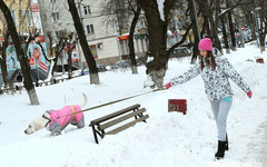 Погода в Кирове. Во вторник будет снежно и около нуля