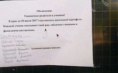 В школе Орловского района ученикам настоятельно рекомендовали закрыть долги по прополке картошки