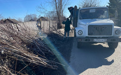 В Кирове занимаются обрезкой деревьев