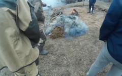 Активисты сняли и уничтожили 3 километра браконьерских сетей (видео)