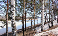 Погода в Кирове. В четверг ожидается солнечная погода